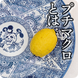 プチマクロとは
